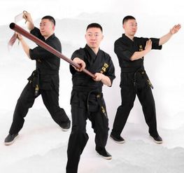 武汉咏春拳培训学费 课程安排 武汉四海咏春拳馆 培训帮