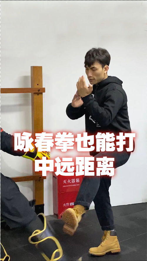 咏春拳不止是能近距离进攻,中远距离一样能打出威力