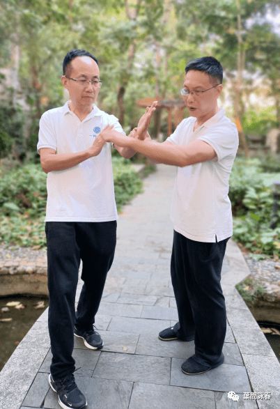 一个咏春的视频,让你大开眼界 叶问