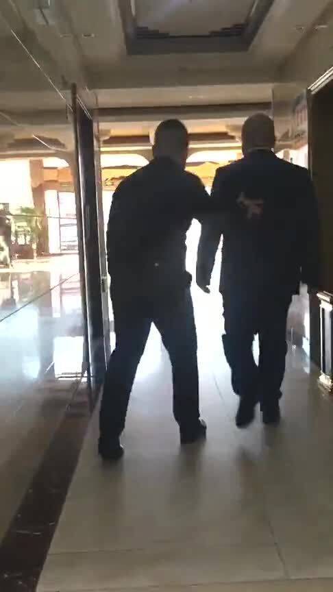 御用保镖,精通15种武术,包括中国咏春拳 八极拳
