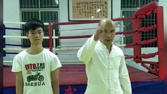 咏春拳全集 –