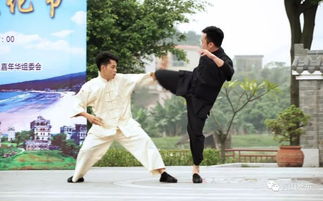境内外 武林高手 齐聚江门,现场太精彩了