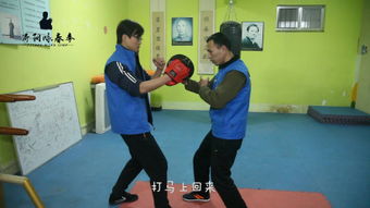 咏春拳教学 –