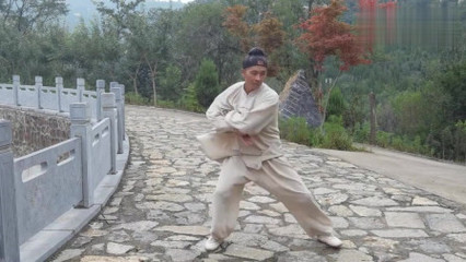 叶准示范咏春拳