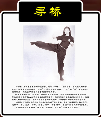 WT咏春拳简介
