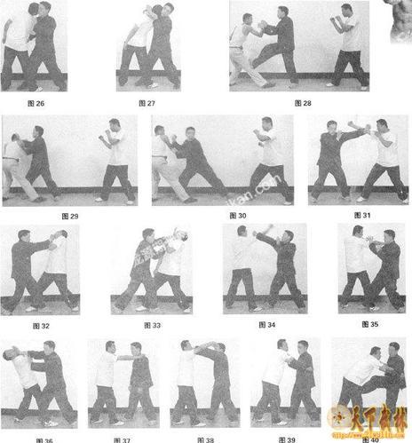 咏春拳 小念头 抹手与弹手的实战运用