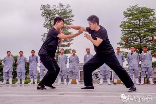 少林寺少年武僧到鹤山进行武术交流活动