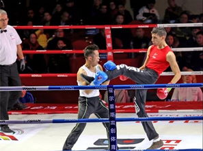 2018首届wwc实战咏春拳大赛在瓜沥鸣锣开赛