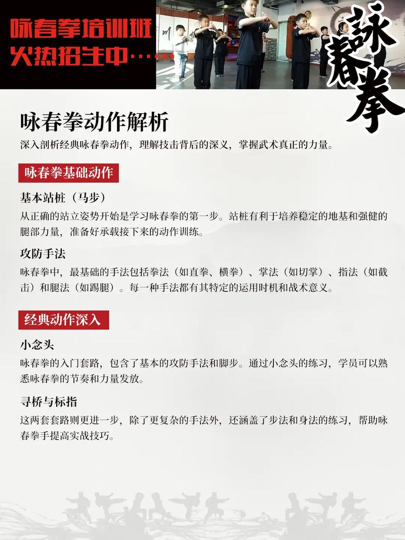 咏春拳动作解析.咏春拳动作解析  深入剖析