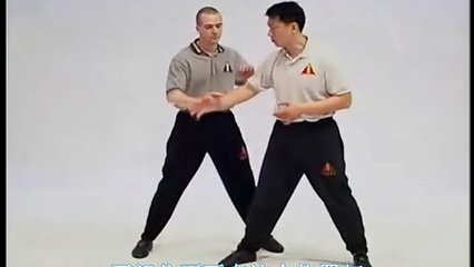 咏春拳