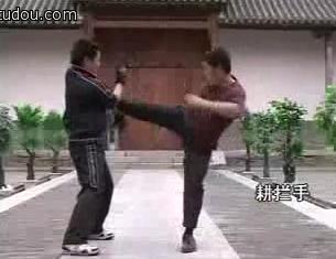 咏春拳耕拦手是啥 给个图片