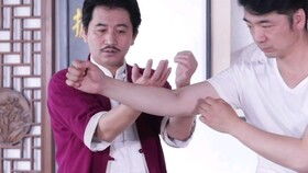 咏春拳口诀不借助位置发力