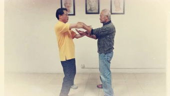 咏春拳师傅梁康的个人频道