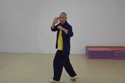 咏春拳多样化态势东莞咏春拳梁康撰写