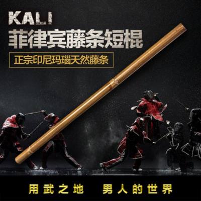 咏春拳 从武学传统到网购新宠
