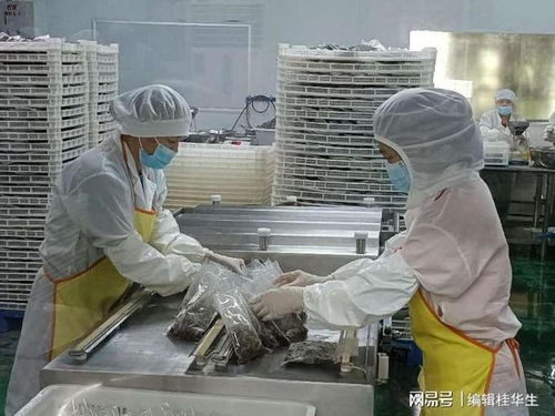 广东预制菜行业的标杆诞生记——咏春拳