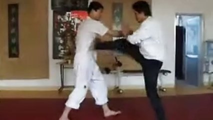 咏春拳 传统武术与现代应用的融合