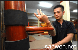 阮奇山咏春拳的简介