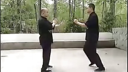 咏春拳 - 播单 - 优酷视频