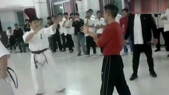 波兰咏春拳 –