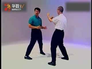 叶问宗师一脉咏春拳体系教学SiuNimTao_8--华数TV