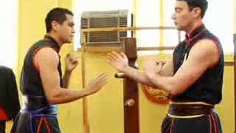 咏春拳 传统武术的智慧与实战精髓