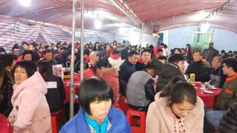 岁寒情暖 咏春拳载道，盘点2019盈亚五金年会温暖点滴