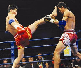 肇庆武术风采 咏春拳、太极与散打的精妙演绎