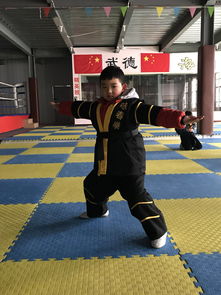 内乡咏春耀星辉 屈裕钦与中体咏春拳馆的传承之路