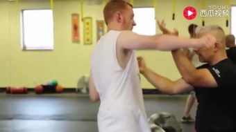 咏春拳体系教学全7集 从入门到精通的完整路径