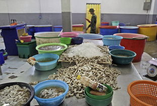 泰国海产工厂的阴影 黑工、16小时工时与咏春拳师的坚守